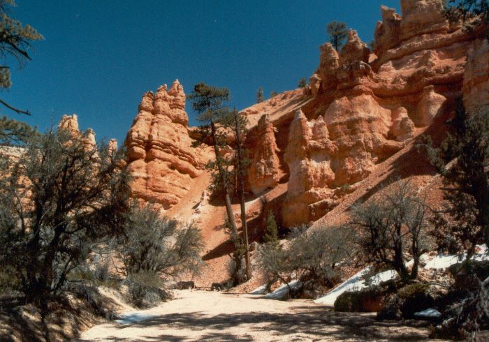 ../Images/107.Bryce Canjon.jpg